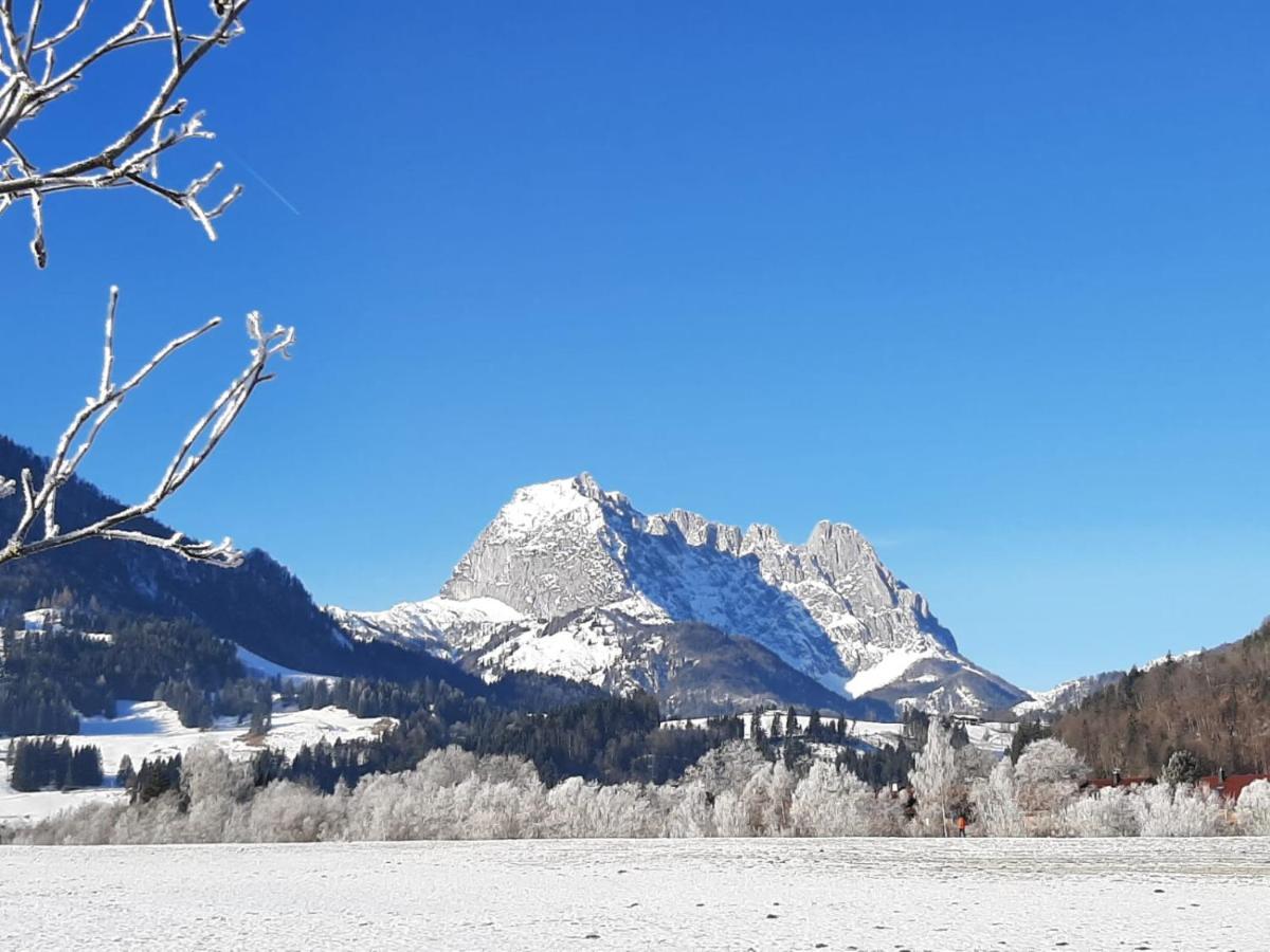 Tiroler Ferienwohnungen Haus Petra Kirchdorf in Tirol Eksteriør bilde